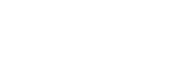top project mineria s.a.c.